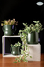 Conjunto de macetas y portamacetas verdes con plantas decorativas sobre estantes.