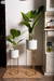 Plantas Artificiales Ficus en internet