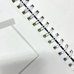 Diario PAPÁ OUTLET - tienda online