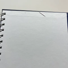 Diario PAPÁ OUTLET en internet