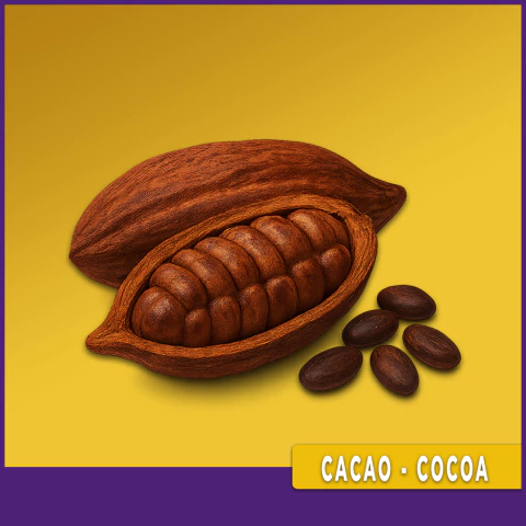 CACAO - COCOA - comprar online