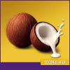 COCONUT MILK - LECHE DE COCO - comprar online