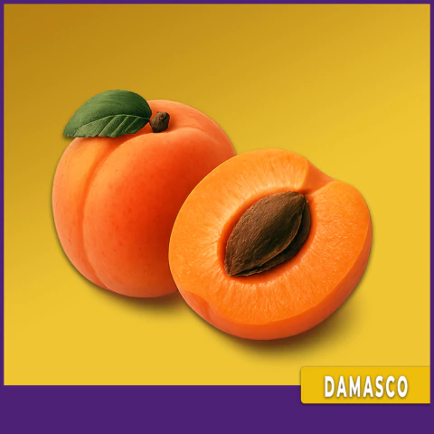 DAMASCO - DAMASCUS FLAVOR - comprar online