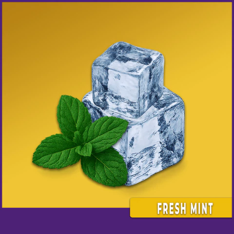 FRESH MINT - MENTA FRESCA - comprar online