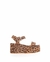 Imagen de Dana leopardo