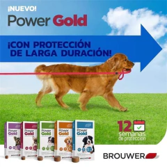 Power Gold Comprimidos Para Pulgas y Garrapatas 3 meses Perros 4.5 kg a 10 kg en internet