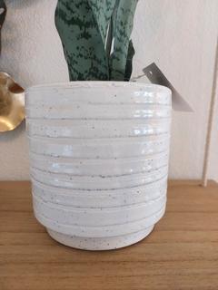 Planta Artificial Sansevieria 41 cm (PA9) en internet