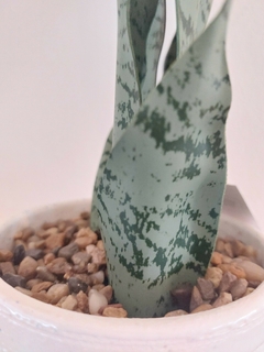Planta Artificial Sansevieria 41 cm (PA9) - tienda online