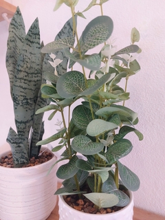 Planta Artificial Eucalipto 35 cm (PA11) - tienda online