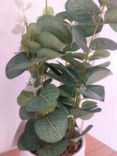 Imagen de Planta Artificial Eucalipto 35 cm (PA11)