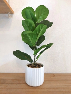 Planta Artificial tipo Pandurata 43 cm (PA1) - comprar online
