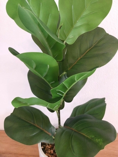 Planta Artificial tipo Pandurata 43 cm (PA1) - Pink.Online