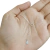 Conjunto Iniciales en internet