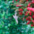 Dije Colibrí Pequeño - comprar online
