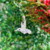 Dije Colibrí Colores