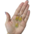 Set Osito Gummy