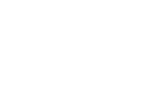 BRAVE