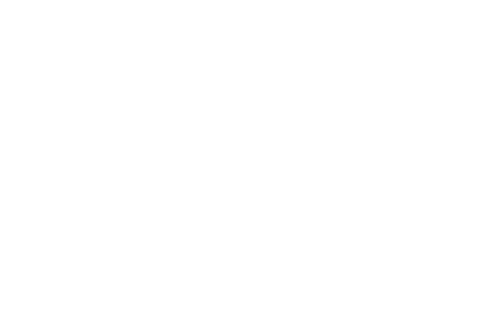 BRAVE