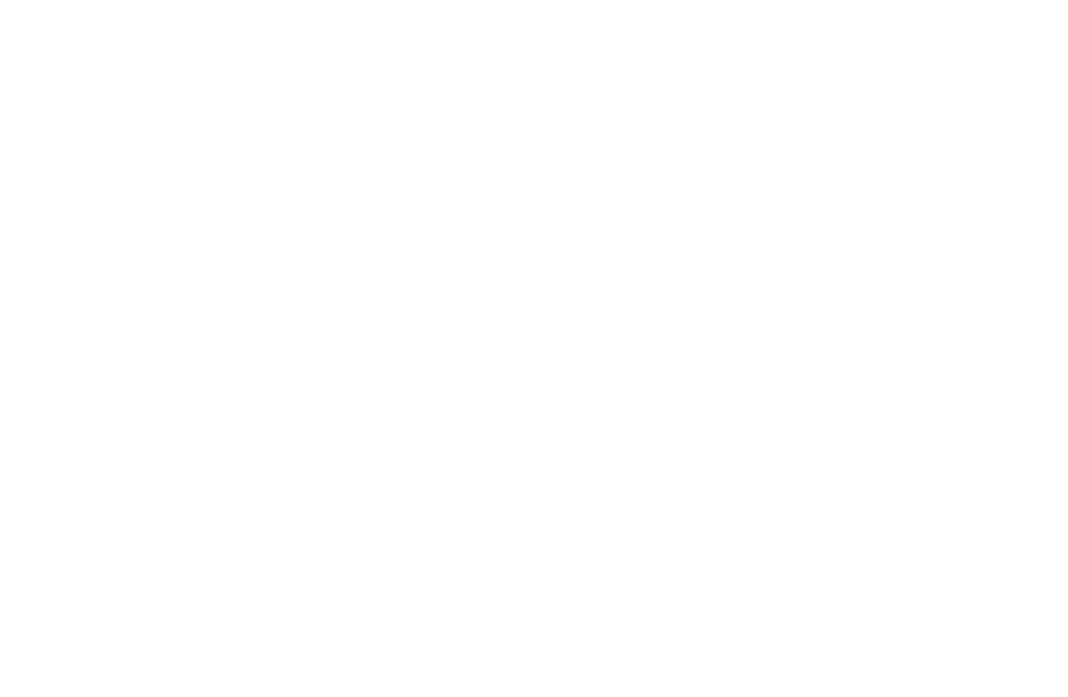 BRAVE