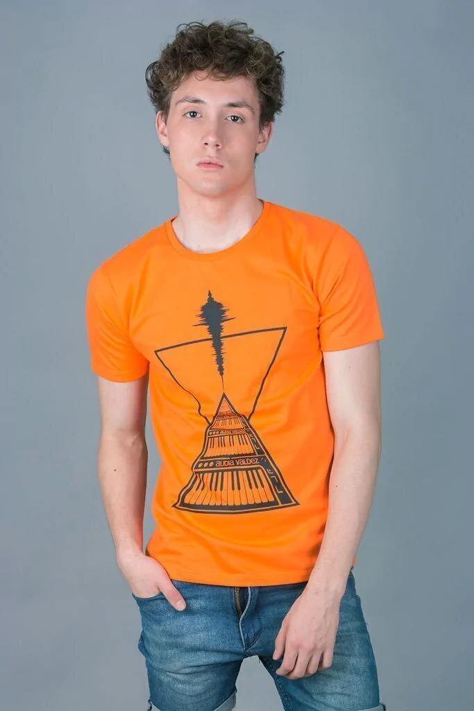Remera Serigrafia (naranja est. Audia logo)