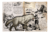 LOBO-TERRÍVEL - NÍVEL 150
