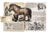 EQUUS - NÍVEL 150