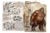 GIGANTOPITHECUS - NÍVEL 150
