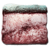 25 X BASILOSSAUR FAT
