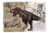 T-REX - NÍVEL 150