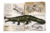 CROCODILO-IMPERADOR - NÍVEL 150
