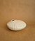 ostra 1
