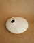 ostra 1 - comprar online