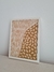 Talla serie 02 - comprar online