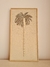 Palmera 1