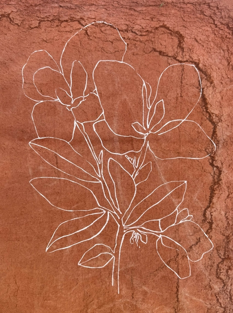 Magnolia - comprar online