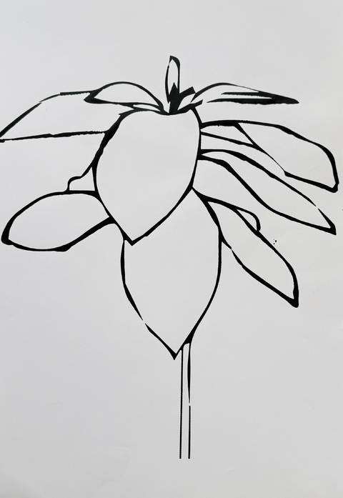 Magnolia 48 - comprar online