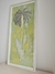 Palmera 1