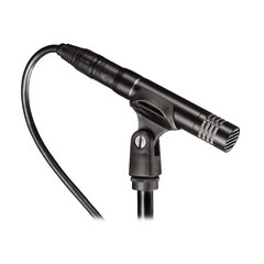 Audio-Technica AT2021* en internet