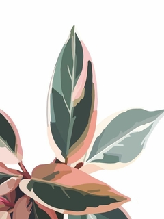 Banner de la categoría Macetas