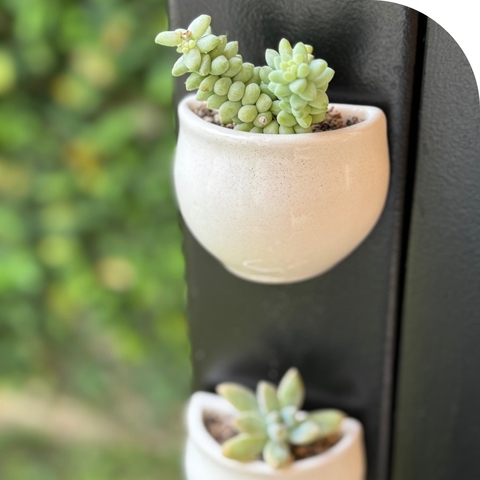 Maceta mini imán - comprar online