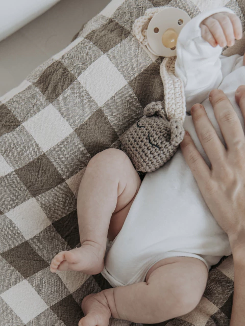 Portachupete animales del bosque - comprar online