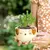 MACETA / BOWL ANIMALES en internet