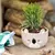 MACETA / BOWL ANIMALES en internet