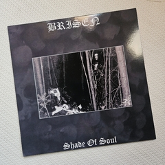 Brisen - Shade Of Soul Vinil 2013