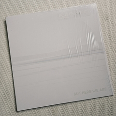 Foo Fighters - But Here We Are Vinil 2023