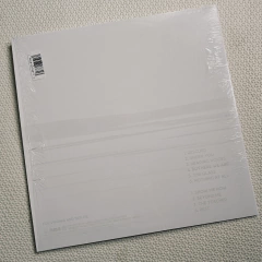 Foo Fighters - But Here We Are Vinil 2023 - comprar online