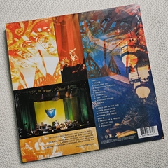 Foo Fighters - Skin And Bones Vinil Duplo 2011 - comprar online