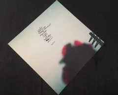 Adorno - Year Two LP + CD na internet