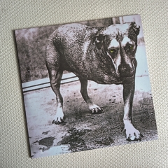 Alice In Chains – Tripod Vinil Duplo Colorido - comprar online
