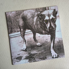 Alice In Chains - Tripod Vinil Duplo Colorido - comprar online